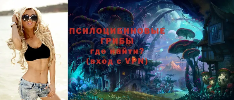 Сколько стоит Высоцк ГАШИШ  Alpha PVP  Меф  АМФЕТАМИН  Кокаин  Канабис 